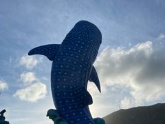 -珠海长隆海洋王国