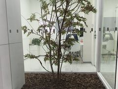-极简口腔(总院)