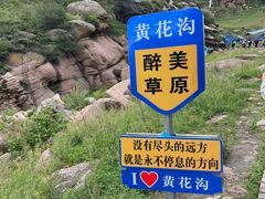 -敕勒川草原