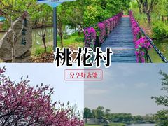 -南汇桃花村