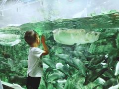 -成都浩海立方海洋公园