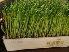 -湊湊火锅·茶憩(上海合生汇店)