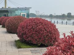 -上海月湖雕塑公园