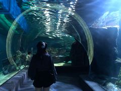 -暹罗海洋世界