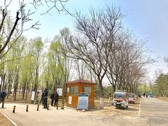 -东郊湿地公园