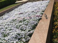 -上海市龙华烈士陵园