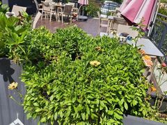 -松茸小馆·云南特色餐厅