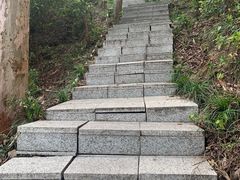-小南山公园