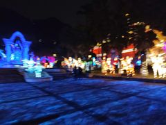 -重庆海昌加勒比海水世界