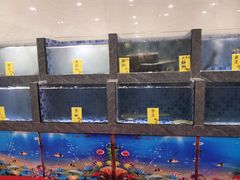 水产区-嘉禧大酒楼(康城广场店)