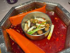 -蜀九香火锅(九眼桥店)