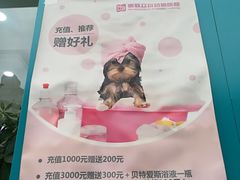 -美联众合动物医院·24h京西诊疗中心