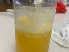 -野萃山·潮汕厚果汁(十亩地店)