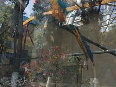 -昆明动物园