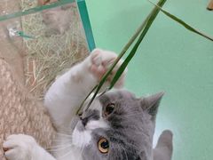 -藦茜花园宠物主题亲子互动体验馆(国顺东路店)