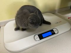 -派联宠物医院·24h·CT·异宠