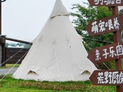 -空港花田景区