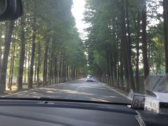 -崇明东平国家森林公园烧烤房车露营地