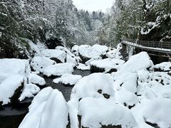 -龙苍沟森林公园