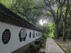 -上海佘山国家森林公园天马山园