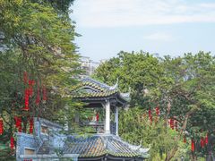-荔湾湖公园
