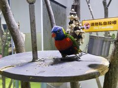 -上海大自然野生昆虫馆(东方明珠·爬宠昆虫探索中心)