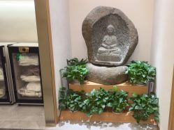 -雅曼妮spa美容养生