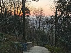 -岳麓山风景名胜区