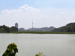 -月湖风景区