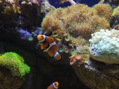 -成都浩海立方海洋公园