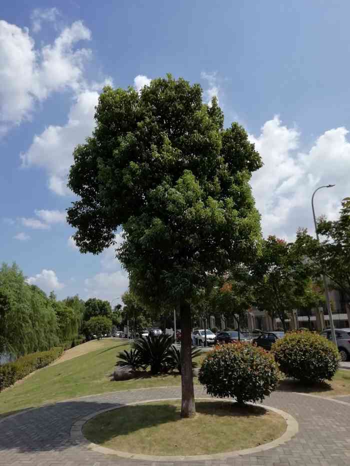夏禹公园-"离家很近的一个公园,公园也不大,因近经常.
