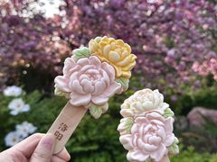 -洛阳市隋唐城遗址植物园