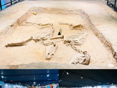 -洛阳周王城天子驾六博物馆