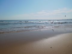 -老虎石海上公园