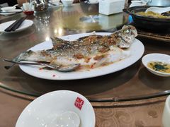 -百年银屏蚝烙·潮汕菜·非遗(乐山店)
