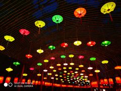 -郑州方特梦幻王国