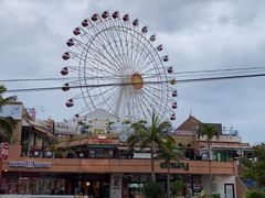 -美国村