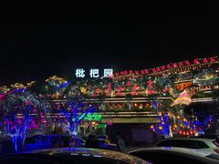 -枇杷园食为鲜火锅(南山店)