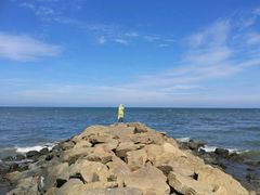 -尼甘布海鲜市场