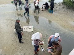 -北海金海湾红树林生态旅游区