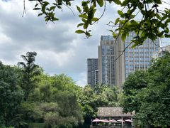 -广州珠江公园