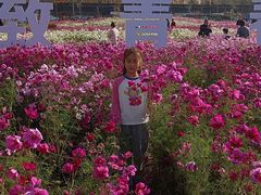 -辽东学院(南校区)