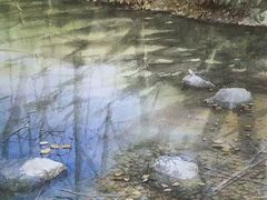 -六出私塾LiuChu•成人美术书法系统课程专业画室(熊婆婆的花园店)