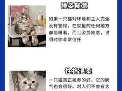 -爱侣宠医·鹦鹉专科·小型哺乳类·异宠专科(灵石路店)