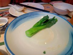 -有心德(麦地店)