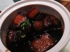 -佬肥猫(国华广场店)