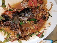 -生态苑农庄(十里画廊遇龙河店)