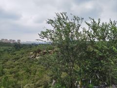 -秦皇岛野生动物园