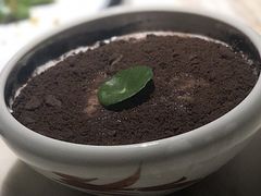 -蜜桃餐厅·伴山(湖滨商业街店)