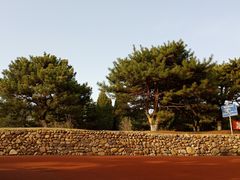 -云岗森林公园